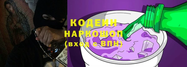 индика Киренск