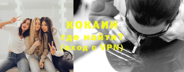индика Киренск