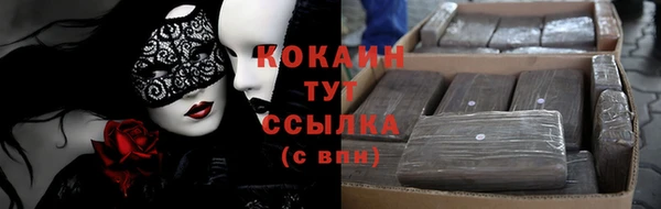 индика Киренск