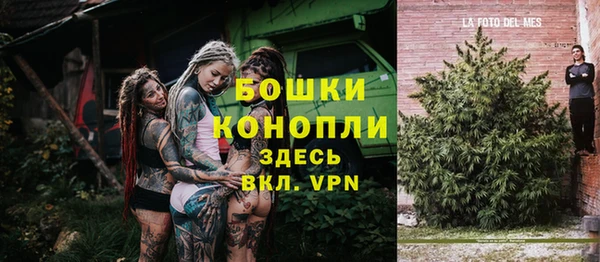 индика Киренск
