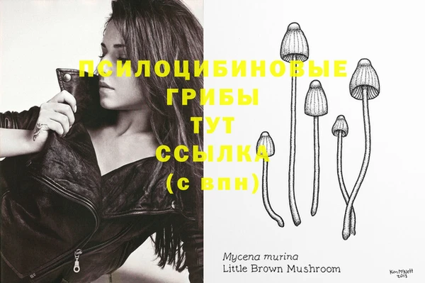 амф Кинешма