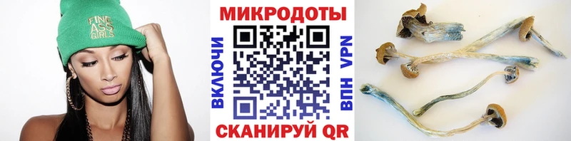 Псилоцибиновые грибы прущие грибы  Купить где  Ельня 